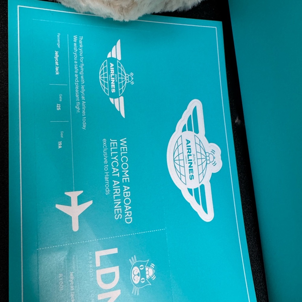 Jellycat Bartholomew Bear Junior ‘Pilot’ - Picture 6 of 7